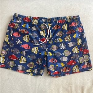 SHAN xl swim trunks